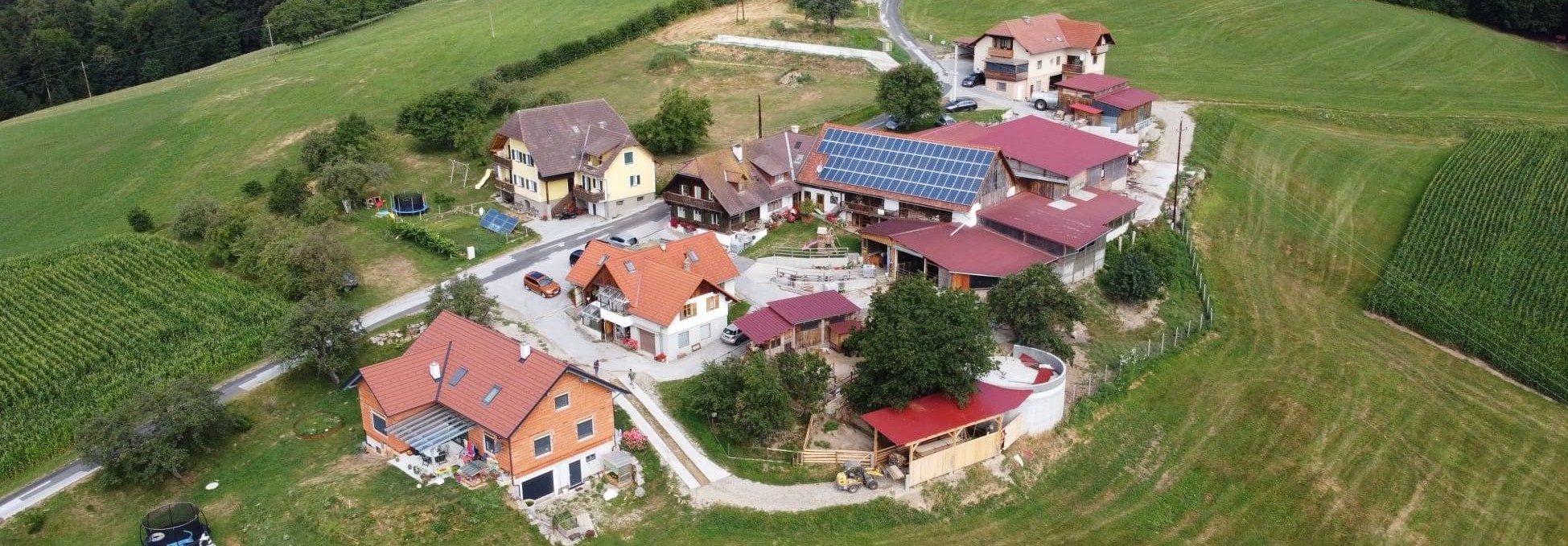 Ferien Bauernhof: Bauernhof Rieglsteffl 