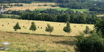 Urlaub auf dem Bauernhof - Tiere am Hof: Kühe - Deutschland - Westerwald - Flurhof