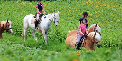 Urlaub auf dem Bauernhof - Tiere am Hof: Ponys - Deutschland - Urlaubsreiterhof Trunk