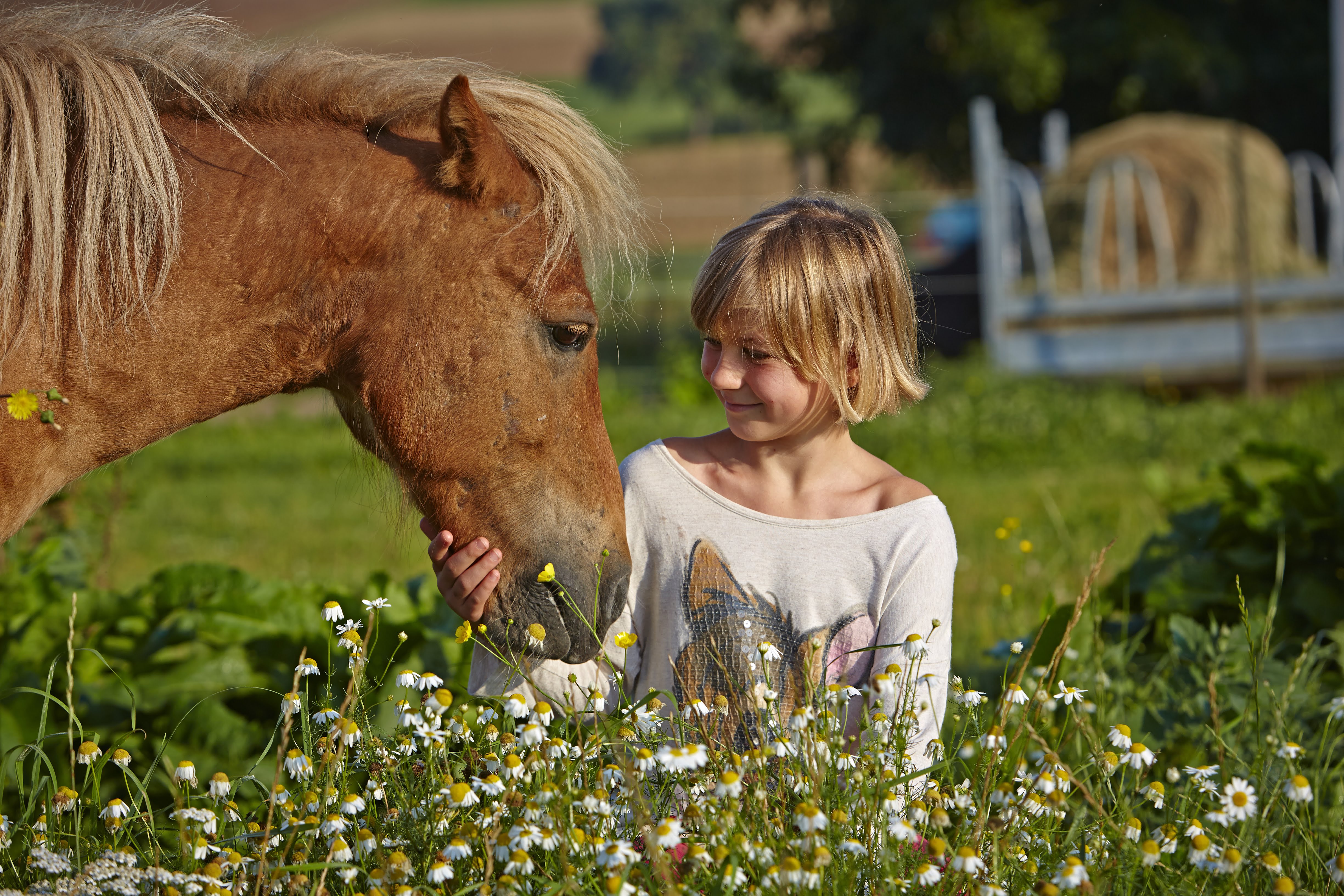 Urlaub auf dem Bauernhof: Glückliche Pferde - Glückliche Menschen ist unsere Begeisterung - Urlaubsreiterhof Trunk