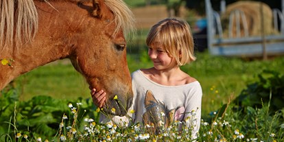 Urlaub auf dem Bauernhof - Brötchenservice - Weigenheim - Glückliche Pferde - Glückliche Menschen ist unsere Begeisterung - Urlaubsreiterhof Trunk