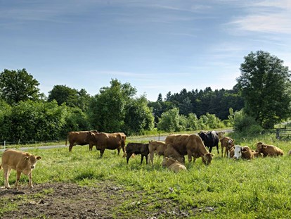 Urlaub auf dem Bauernhof - nachhaltige Landwirtschaft - Großlangenfeld - Nengshof