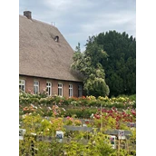 Prázdninová farma - Hausdeich 180, Blick vom Rosenhof - Hausdeich 180