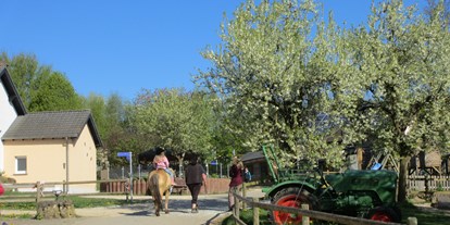 Urlaub auf dem Bauernhof - Tiere am Hof: Enten - Großlangenfeld - Ferienhof Feinen