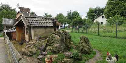 wakacje na farmie - Tiere am Hof: Hühner - Ferienhof Feinen