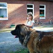 Holiday farm - keine Angst vor großen Hunden - Ferienhof Anke Hess
