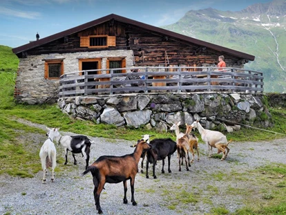 dovolená na farmě - Brötchenservice - Griesbachwinkl - Hofeigene Alm - Tofererhof