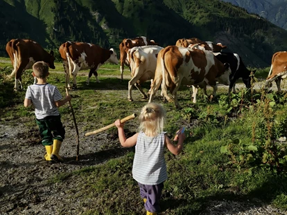 počitnice na kmetiji - Tiere am Hof: Kühe - Griesbachwinkl - Tofererhof