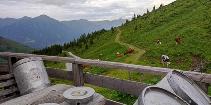 Urlaub auf dem Bauernhof - Art der Landwirtschaft: Milchbauernhof - Ramsau am Dachstein - Tofererhof
