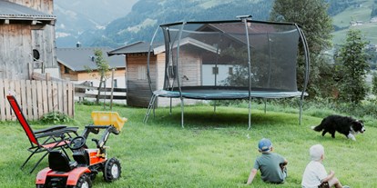 Urlaub auf dem Bauernhof - Kutschen fahren - PLZ 5630 (Österreich) - Tofererhof