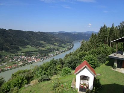 Urlaub auf dem Bauernhof - Mithilfe beim: Tiere füttern - Seitelschlag - Hauskabelle - Eselgut  mit  Donautraumblick