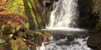 Urlaub auf dem Bauernhof - Wellness: Sauna - Mühlviertel - Bockbach Wasserfall - Eselgut  mit  Donautraumblick