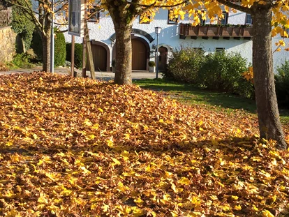 Urlaub auf dem Bauernhof - Terrasse oder Balkon am Zimmer - Jörgerberg - Herbststimmung - Eselgut  mit  Donautraumblick