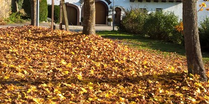 Urlaub auf dem Bauernhof - Helfenberg (Ahorn, Helfenberg) - Herbststimmung - Eselgut  mit  Donautraumblick