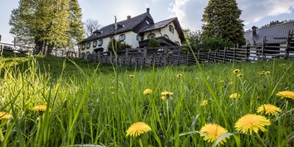 vacation on the farm - Umgebung: Urlaub in den Wäldern - Lower Austria - Pension-Kobichl