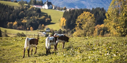 vacanza in fattoria - Umgebung: Urlaub in den Wäldern - St. Leonhard am Wald - Pension-Kobichl