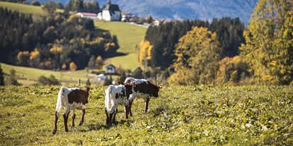 vacation on the farm - Fahrzeuge: Traktor - Lassing - Pension-Kobichl