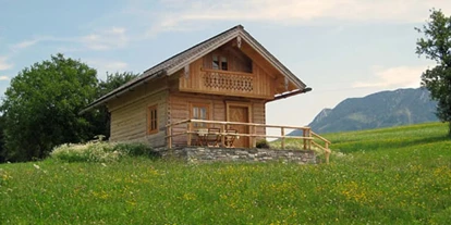 Urlaub auf dem Bauernhof - Art der Unterkunft: Ferienhaus - Weißenbach (Haus) - Brunbacher - Ferienhütte Wolfgangsee