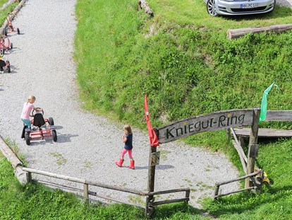 vacation on the farm - Art der Unterkunft: Appartement - Berg (Leogang) - Kinderbauernhof Kniegut