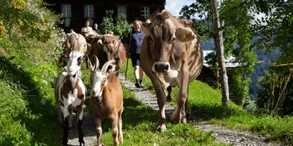 Urlaub auf dem Bauernhof - begehbarer Heuboden - Nußdorfer Berg - Familienwanderhof Eggeler