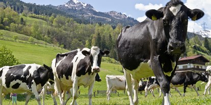 vacanza in fattoria - Art der Landwirtschaft: Milchbauernhof - Weißpriach - Komfortbauernhof Zittrauerhof 4 Blumen