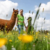 Farma za odmor - Alpakaspaziergänge  - Hubertushof Eifel