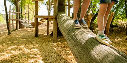 Urlaub auf dem Bauernhof - Umgebung: Urlaub in den Wäldern - Sefferweich - Waldspielplatz - Hubertushof Eifel