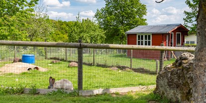 Urlaub auf dem Bauernhof - Tiere am Hof: Schafe - Deutschland - Tiergehege - Hubertushof Eifel