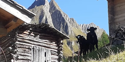 počitnice na kmetiji - ideal für: Pärchen - St. Andrä (Trentino-Südtirol) - Sommerfrische auf der Alm des Matzilerhofs: Viedalm - Matzilerhof