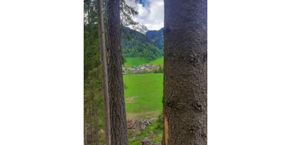 vacanza in fattoria - Jahreszeit: Frühlings-Urlaub - St. Andrä (Trentino-Südtirol) - Blick vom Wald auf das Bergdorf St. Jakob - Matzilerhof