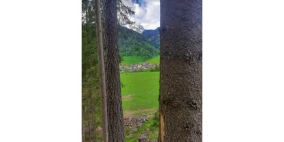 vacation on the farm - Fahrzeuge: Heuwender - Trentino-South Tyrol - Blick vom Wald auf das Bergdorf St. Jakob - Matzilerhof