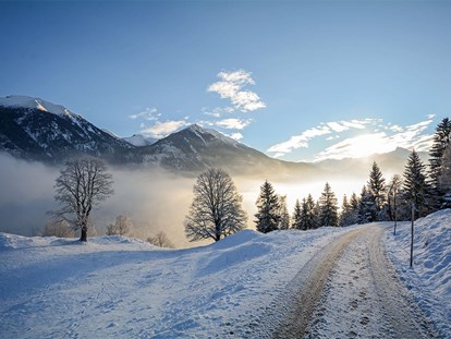 Urlaub auf dem Bauernhof - Jahreszeit: Winter-Urlaub - Ausblicke..  - Biohof Maurachgut
