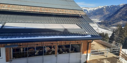 Urlaub auf dem Bauernhof - Hütten (Leogang) - Neuer Stall zum Wohlfühlen - Biohof Maurachgut