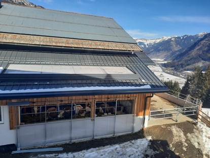 Urlaub auf dem Bauernhof - Jahreszeit: Winter-Urlaub - Neuer Stall zum Wohlfühlen - Biohof Maurachgut