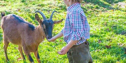 Urlaub auf dem Bauernhof - nachhaltige Landwirtschaft - Salzburg - Tiere füttern - Biohof Maurachgut