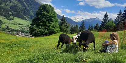 Urlaub auf dem Bauernhof - Kräutergarten - PLZ 5630 (Österreich) - Schafe beobachten und Natur genießen - Biohof Maurachgut