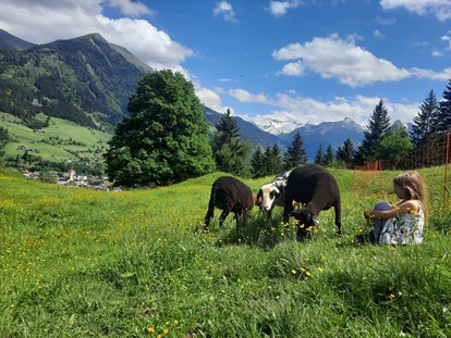 vacation on the farm - selbstgemachte Produkte: Milchprodukte - Hohe Tauern - Schafe beobachten und Natur genießen - Biohof Maurachgut