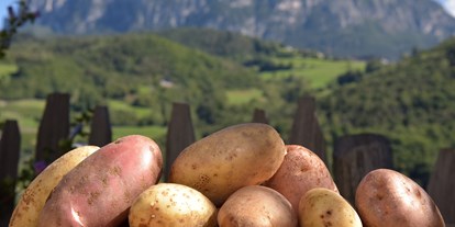 vacanza in fattoria - Tiere am Hof: Schweine - Trentino-Alto Adige - Pignathof 