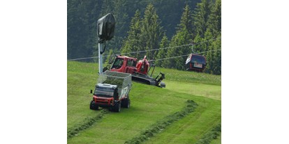 Urlaub auf dem Bauernhof - nachhaltige Landwirtschaft - Salzburg - Erntezeit am Bergbauernhof - Ferienwohnungen Perfeldhof