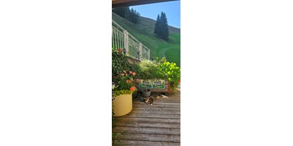 Urlaub auf dem Bauernhof - nachhaltige Landwirtschaft - Salzburg - Kater "Rocky" relaxt auf der Sonnenterrasse - Ferienwohnungen Perfeldhof