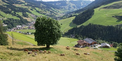 Urlaub auf dem Bauernhof - Pabing (Saalfelden am Steinernen Meer) - Sommerferien in absoluter Ruhelage - direkt hinterm Haus grasen die Kühe, Kälber und Ziegen - Ferienwohnungen Perfeldhof