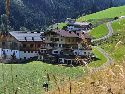 Urlaub auf dem Bauernhof - ideal für: Ruhesuchende - Österreich - Ferienwohnungen Perfeldhof