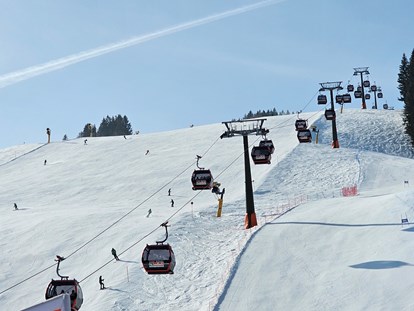 vacanza in fattoria - Skifahren - Lesach - Saalbach-Hinterglemm - eines der größten Familienskigebiete der Alpen - Ferienwohnungen Perfeldhof