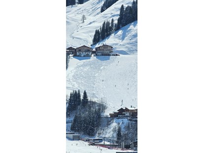 Urlaub auf dem Bauernhof - ideal für: Sportler - Österreich - Unsere Lage direkt an der frisch verschneiten Piste - Ferienwohnungen Perfeldhof