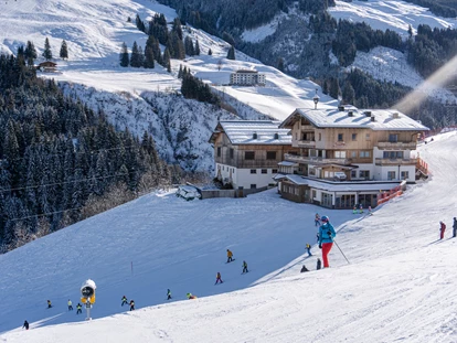 wakacje na farmie - ideal für: Sportler - Niedernsill - Skiurlaub direkt an der Skipiste - Ferienwohnungen Perfeldhof