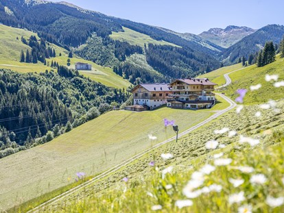 Urlaub auf dem Bauernhof - erreichbar mit: Bergbahn - Ködnitz (Kals am Großglockner) - Ferienwohnungen Perfeldhof