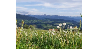 vacanza in fattoria - Tiere am Hof: Kühe - Haldenwang (Landkreis Oberallgäu) - Die Natur macht uns die schönsten Geschenke. - Haus Adlerhorst