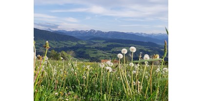 vacanza in fattoria - Tiere am Hof: Ziegen - Buchenberg (Landkreis Oberallgäu) - Die Natur macht uns die schönsten Geschenke. - Haus Adlerhorst