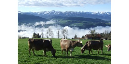 vacanza in fattoria - Tiere am Hof: Kühe - Kempten - Aktive Landwirtschaft - Haus Adlerhorst