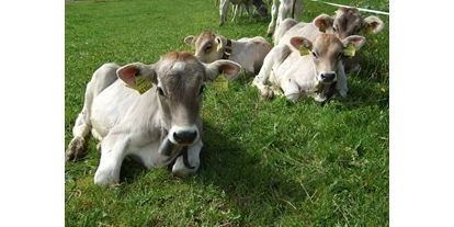 vacances à la ferme - Jahreszeit: Winter-Urlaub - Möggers - Schöner Nachwuchs - Haus Adlerhorst